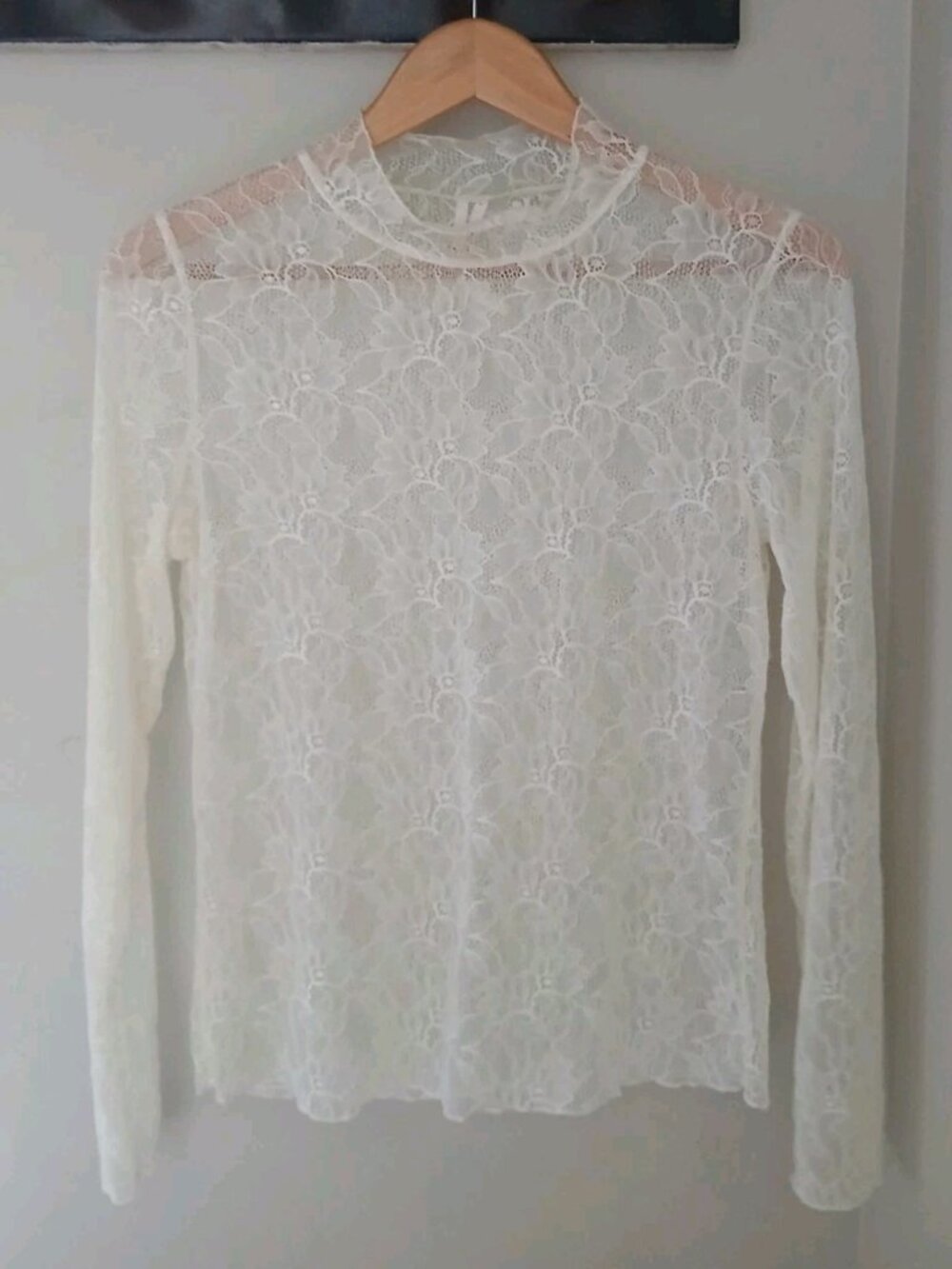 Anthropologie Sheer Lace Turtleneck Top